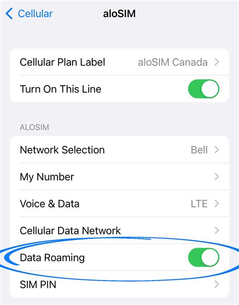 Set up an eSIM or SIM for mobile data .